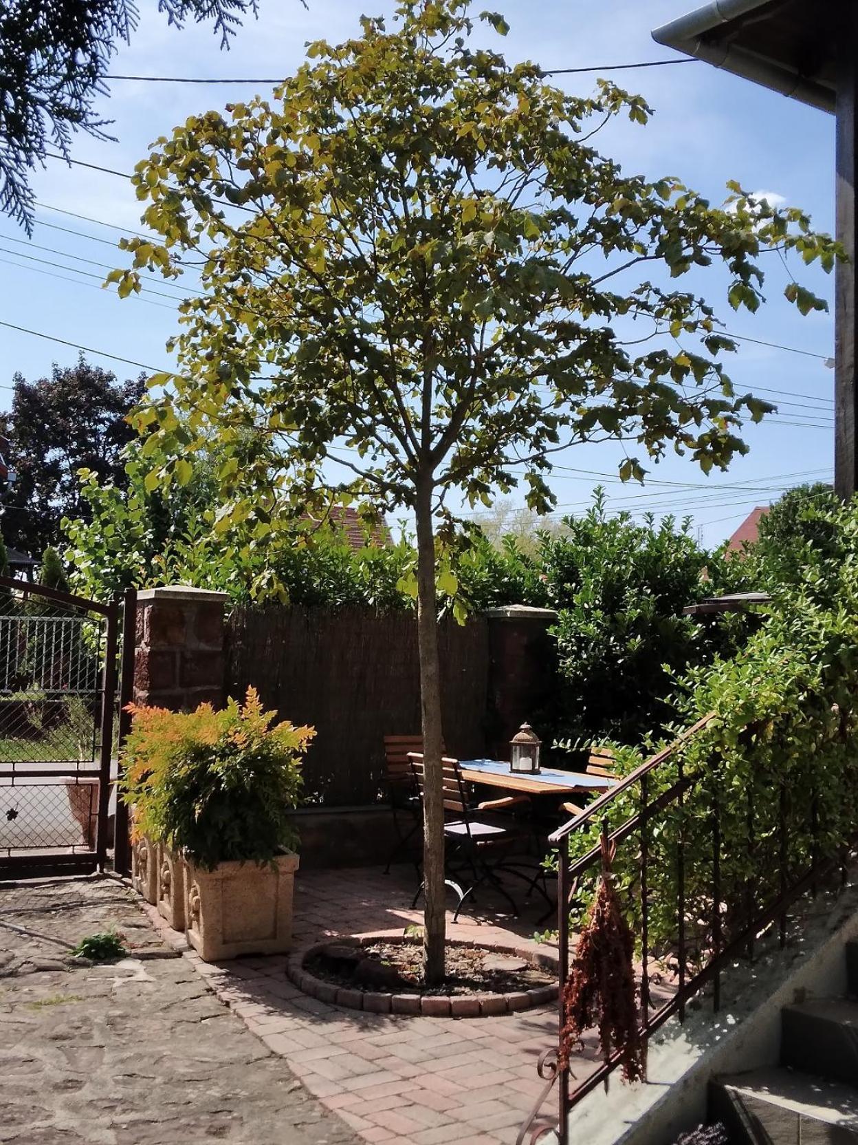 Apartmán Siraly Haz Révfülöp Pokoj fotografie